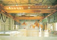 Thiết bị nâng hạ là gì mà cần thiết đến vậy?