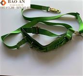 Dây an toàn điện lực